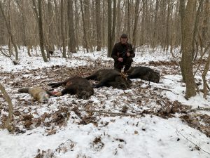 Karl Hauptmann GmbH Jagdwaffen Büchsen und Flinten Neues Blog Winterjagd Wildschweine