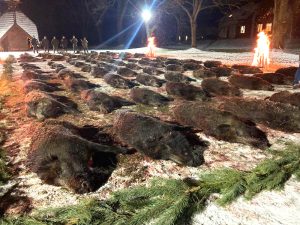 Karl Hauptmann GmbH Jagdwaffen Büchsen und Flinten Neues Blog Winterjagd Wildschweine